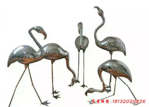 公园动物火烈鸟