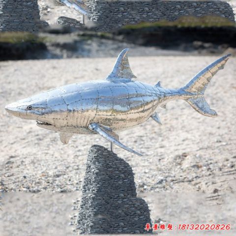 海洋公园鲨鱼