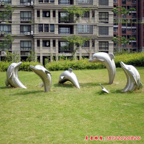 镜面海豚景观