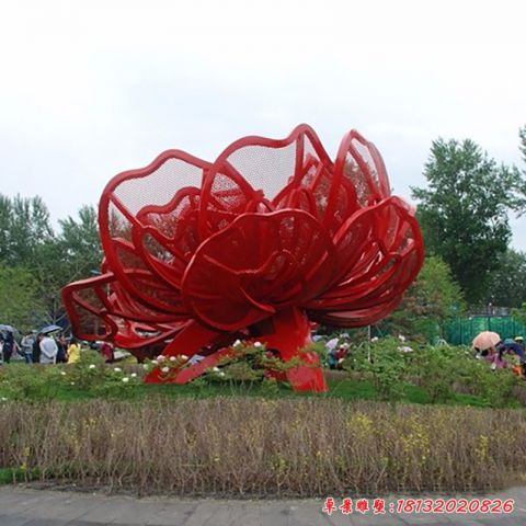 景观玫瑰花
