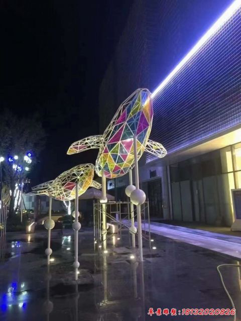 发光切面鲸鱼